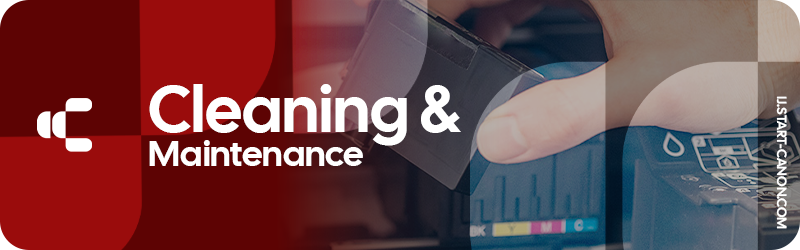 Cleaning and Maintenance